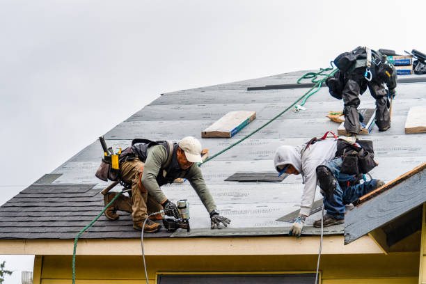 Professional Gutter Installation technician working in Crystal River, FL